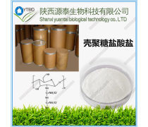 壳聚糖在药品领域的应用与前景